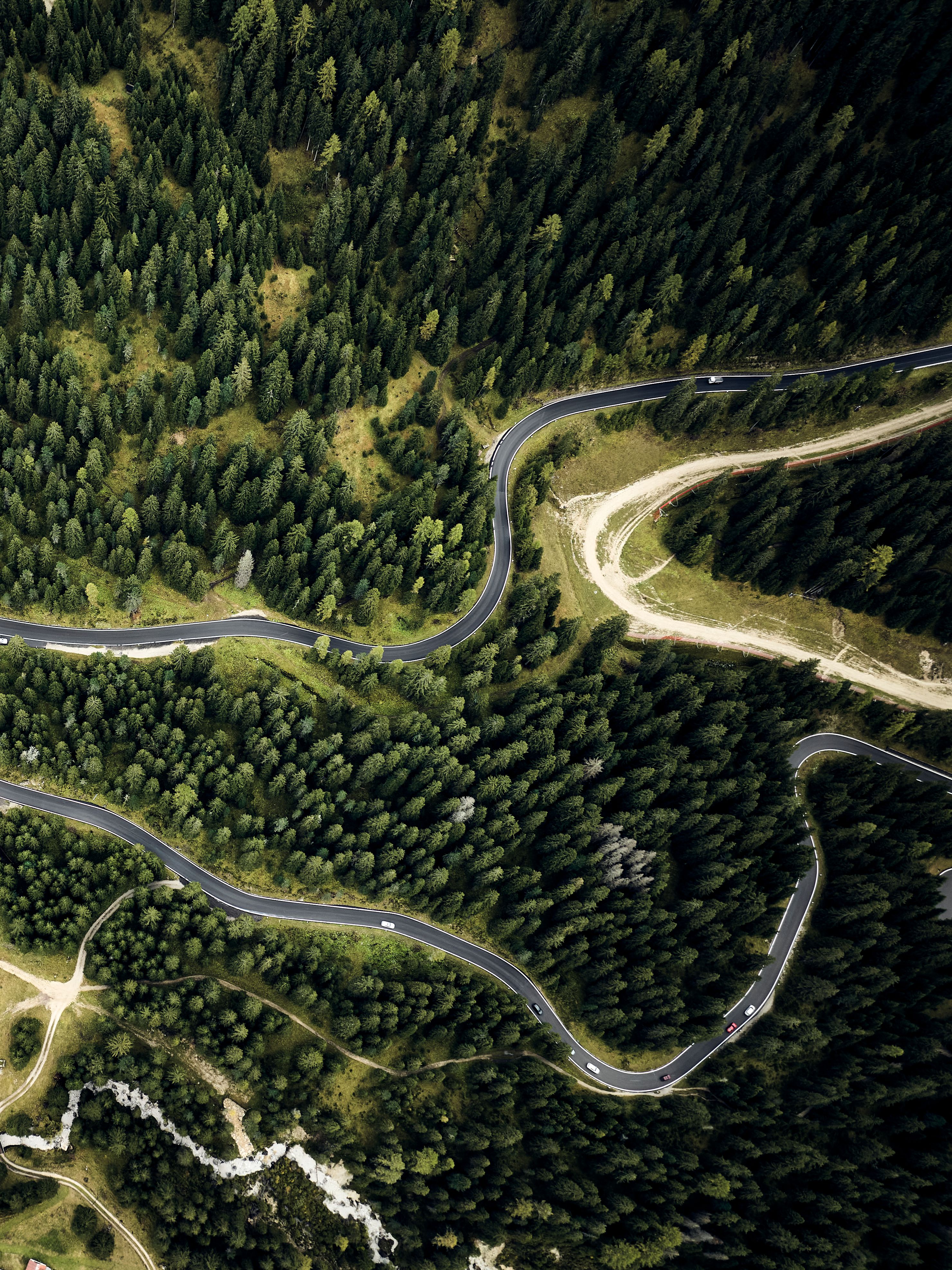 winding roads through a forest from a bird's eye view