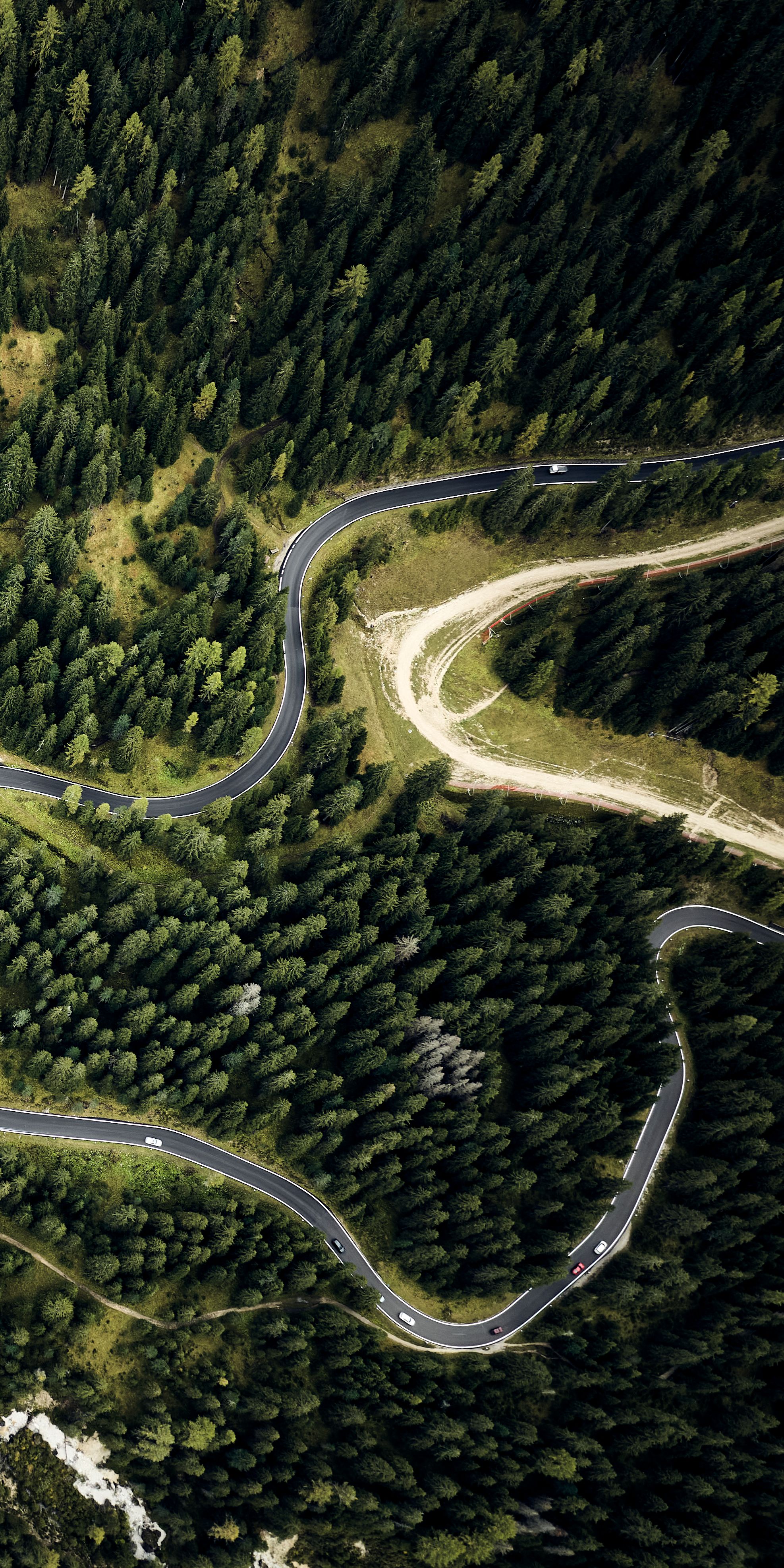 winding roads through a forest from a bird's eye view