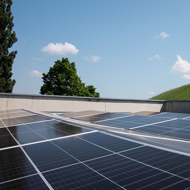 Photovoltaic system with vineyard in the background
