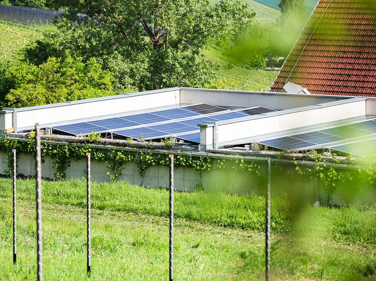 Photovoltaic system on a meadow