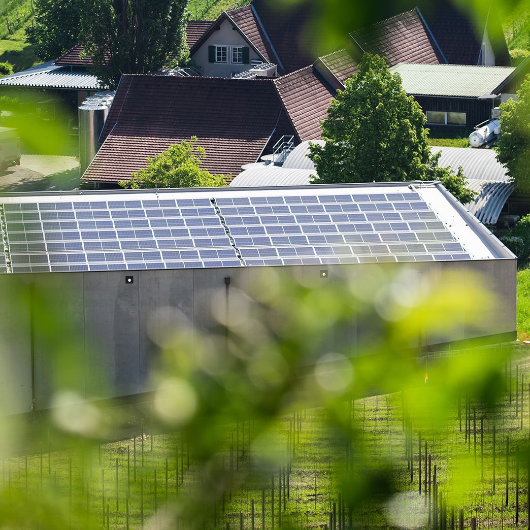 Photovoltaic system on the roof in front of a group of houses